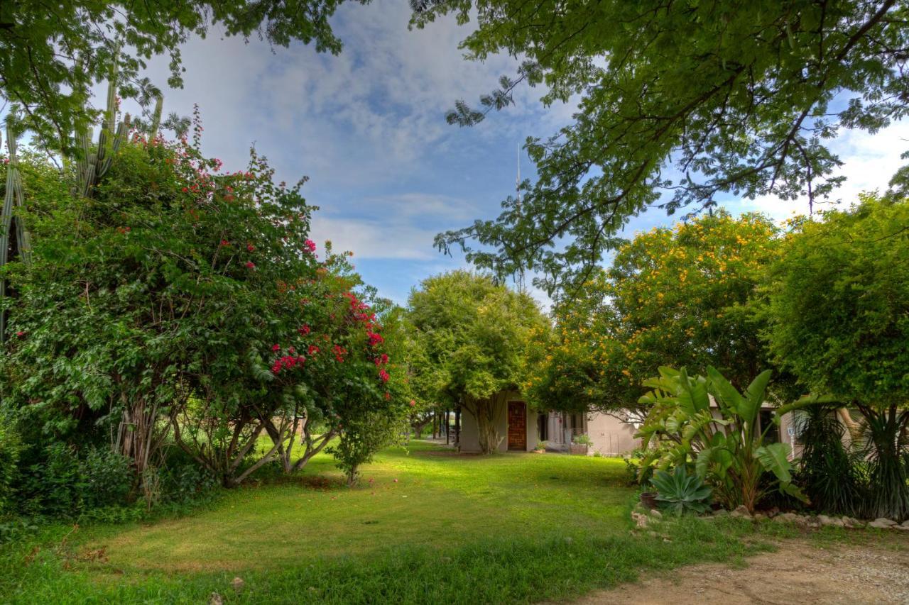 Khoi-Khoi Guesthouse Otavi Ngoại thất bức ảnh